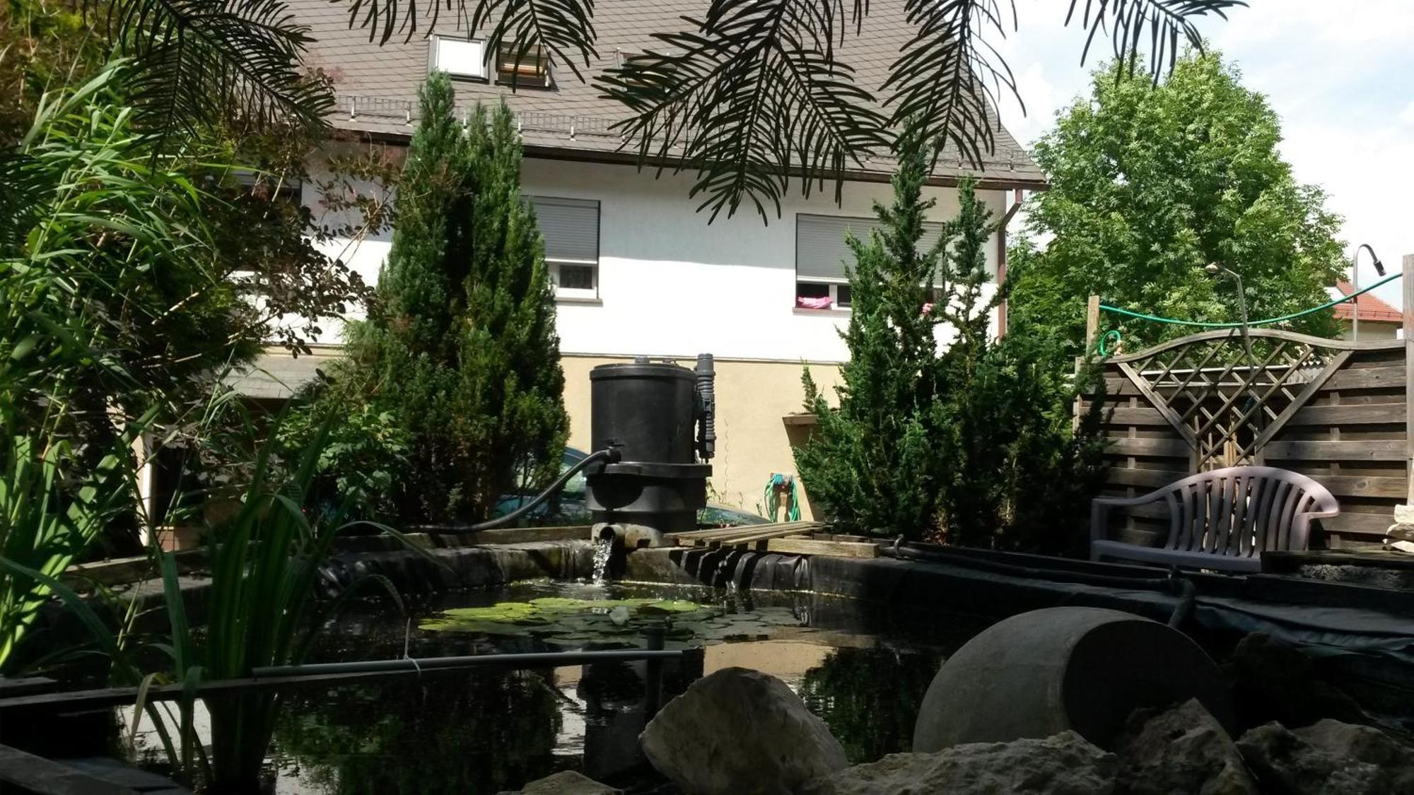 شقة Haus Am Waldrand فرايتال المظهر الخارجي الصورة